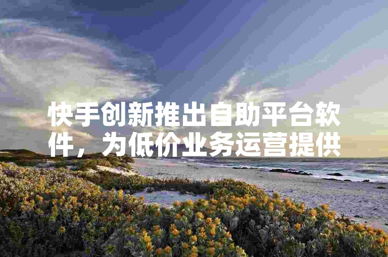 快手创新推出自助平台软件，为低价业务运营提供强大助力！