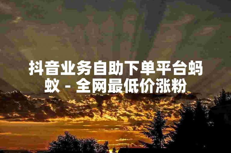 抖音业务自助下单平台蚂蚁 - 全网最低价涨粉