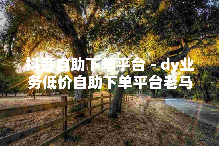 抖音自助下单平台 - dy业务低价自助下单平台老马