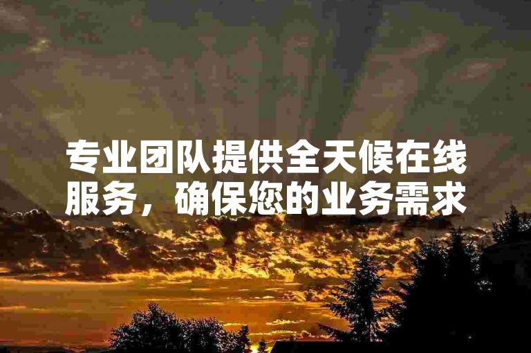 专业团队提供全天候在线服务，确保您的业务需求得到及时满足。