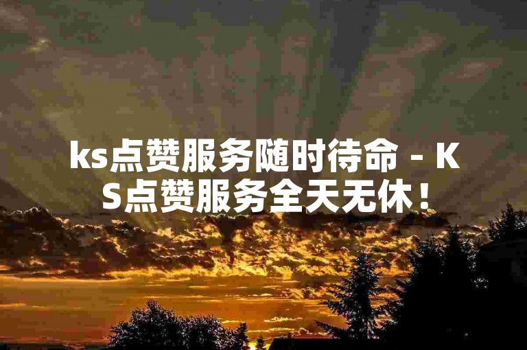 ks点赞服务随时待命 - KS点赞服务全天无休！