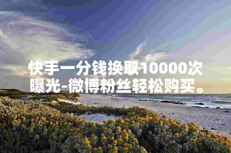 快手一分钱换取10000次曝光-微博粉丝轻松购买。