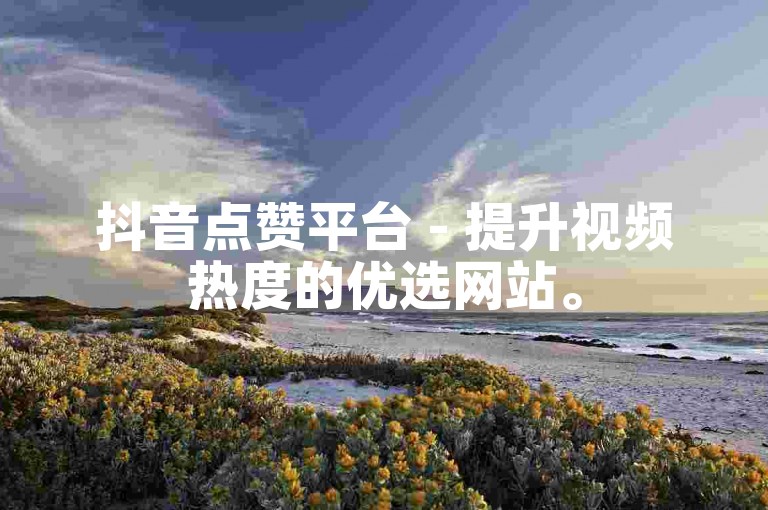 抖音点赞平台 - 提升视频热度的优选网站。