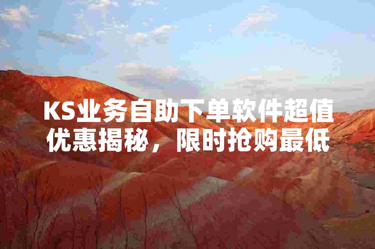 KS业务自助下单软件超值优惠揭秘，限时抢购最低价，2024年必备技能！
