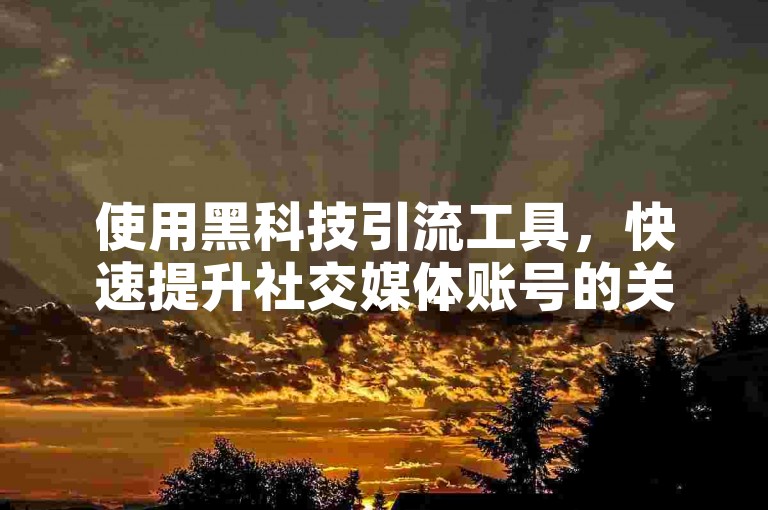 使用黑科技引流工具，快速提升社交媒体账号的关注度和影响力。