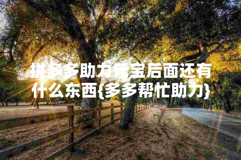 拼多多助力元宝后面还有什么东西{多多帮忙助力}