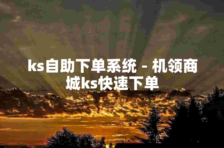 ks自助下单系统 - 机领商城ks快速下单