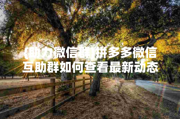 {助力微信群}拼多多微信互助群如何查看最新动态。