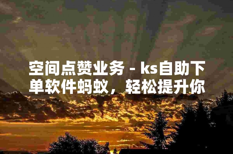 空间点赞业务 - ks自助下单软件蚂蚁，轻松提升你的社交影响力。