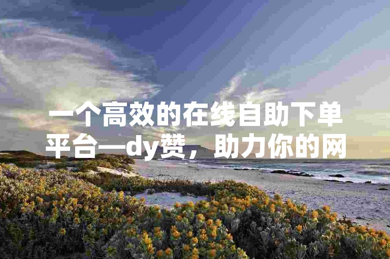 一个高效的在线自助下单平台—dy赞，助力你的网站流量飙升的SEO神器。