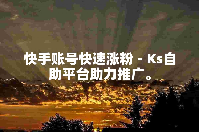 快手账号快速涨粉 - Ks自助平台助力推广。