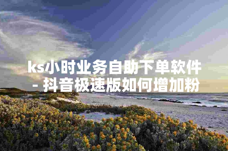 ks小时业务自助下单软件 - 抖音极速版如何增加粉丝，探索抖音极速版涨粉技巧，提升账号影响力。