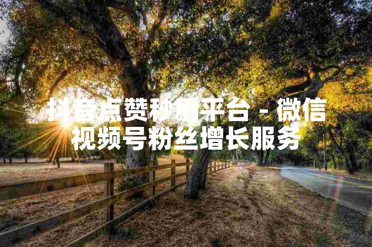 抖音点赞秒刷平台 - 微信视频号粉丝增长服务
