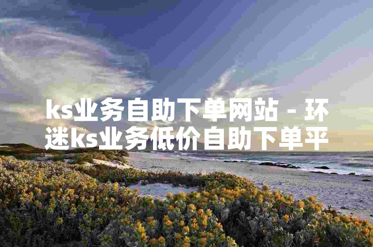 ks业务自助下单网站 - 环迷ks业务低价自助下单平台