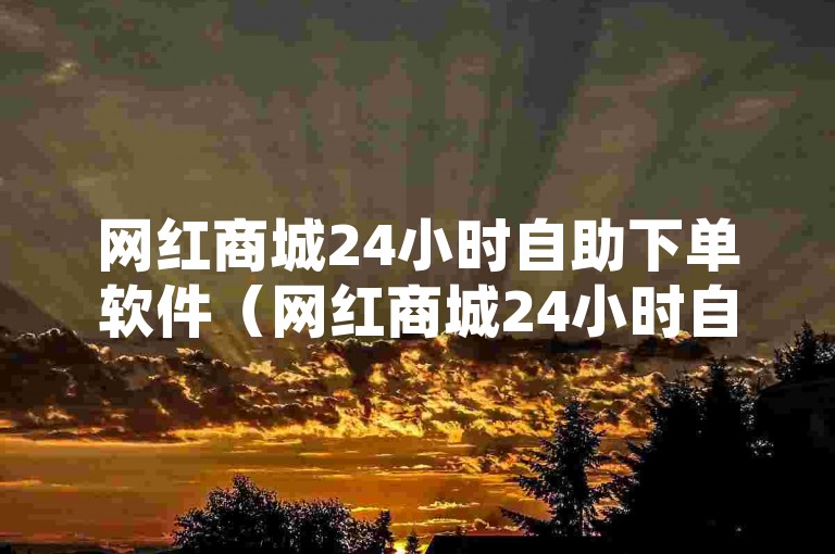网红商城24小时自助下单软件（网红商城24小时自助下单工具，便捷实现高效购物）