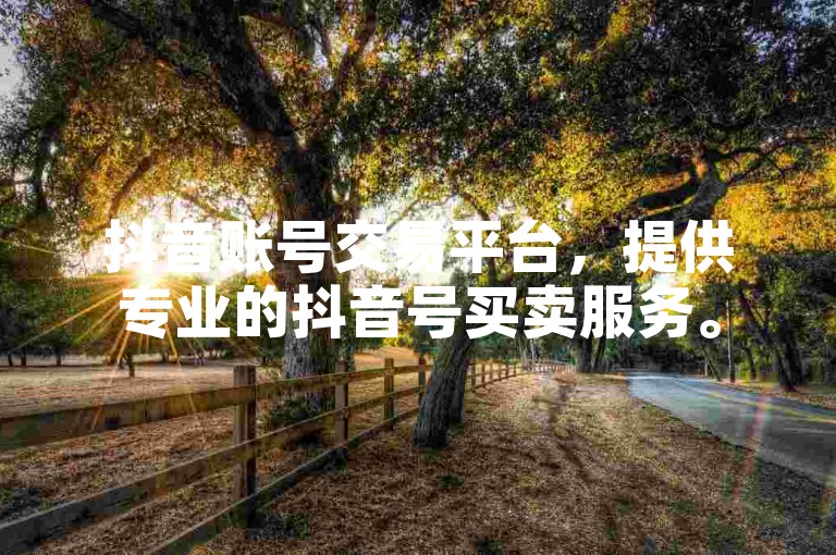 抖音账号交易平台，提供专业的抖音号买卖服务。
