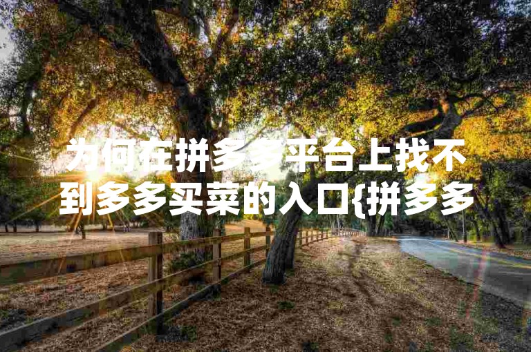 为何在拼多多平台上找不到多多买菜的入口{拼多多用户交流论坛}。