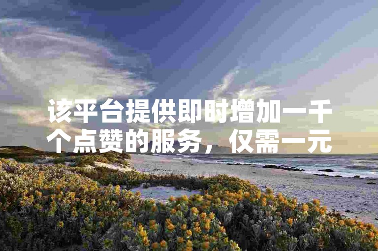 该平台提供即时增加一千个点赞的服务，仅需一元即可通过自助系统快速下单。