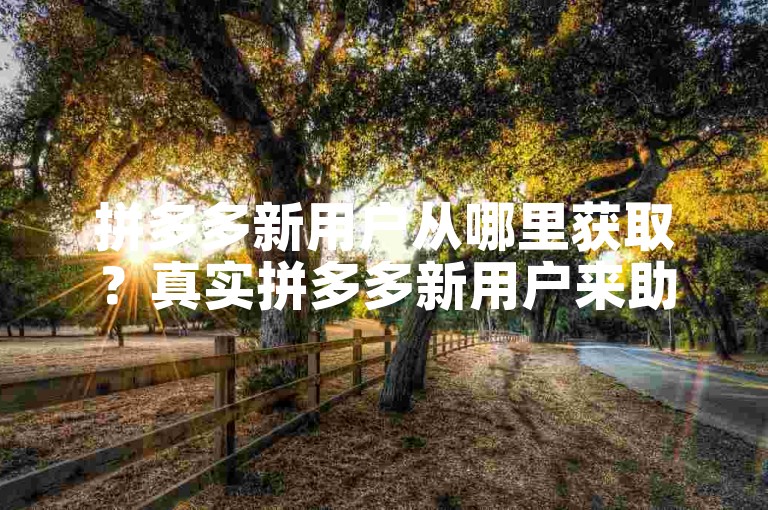 拼多多新用户从哪里获取？真实拼多多新用户来助力。