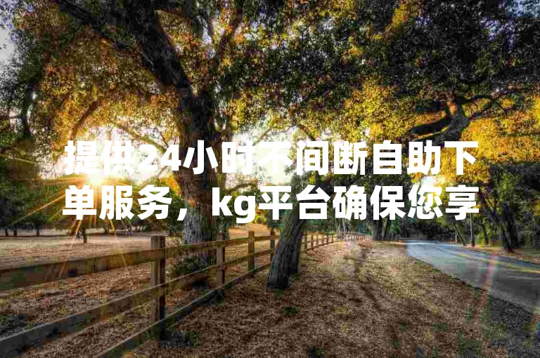 提供24小时不间断自助下单服务，kg平台确保您享受全网最低价的购物体验。
