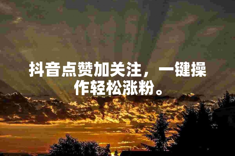 抖音点赞加关注，一键操作轻松涨粉。