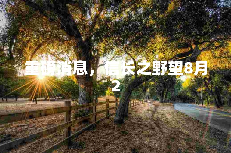 重磅消息，信长之野望8月25日即将开启游戏狂欢，开发者亲至现场，智谋与荣光再度碰撞！