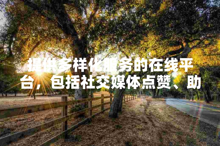 提供多样化服务的在线平台，包括社交媒体点赞、助力活动参与以及视频分享网站快速下单服务。