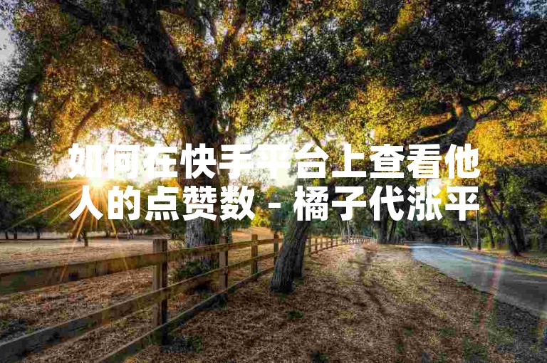 如何在快手平台上查看他人的点赞数 - 橘子代涨平台抖音