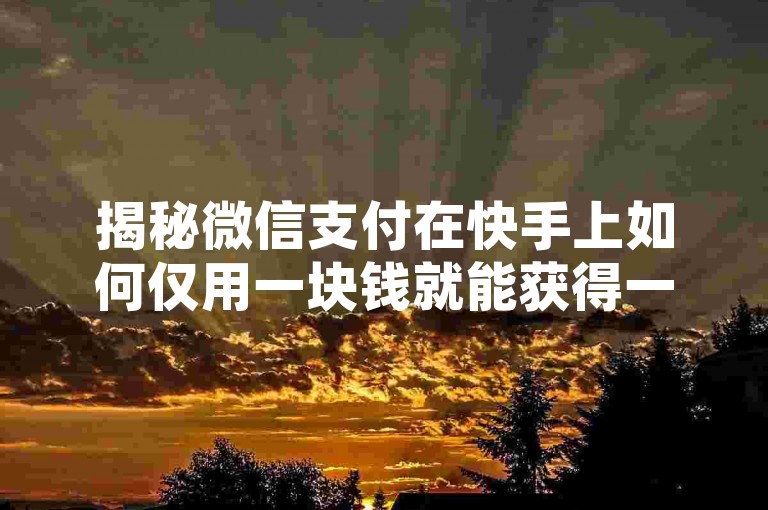 揭秘微信支付在快手上如何仅用一块钱就能获得一百个赞的独家技巧，这是2025年必须掌握的知识！