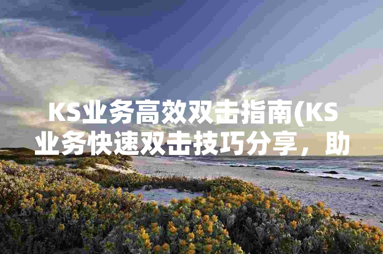 KS业务高效双击指南(KS业务快速双击技巧分享，助你轻松上手)