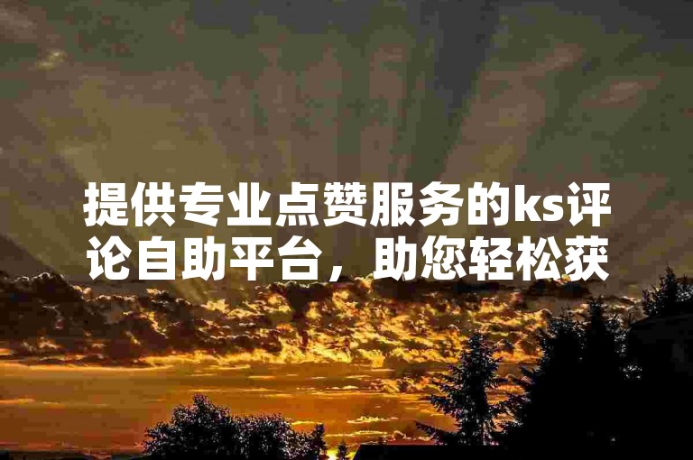 提供专业点赞服务的ks评论自助平台，助您轻松获得全网最低价的代涨服务。