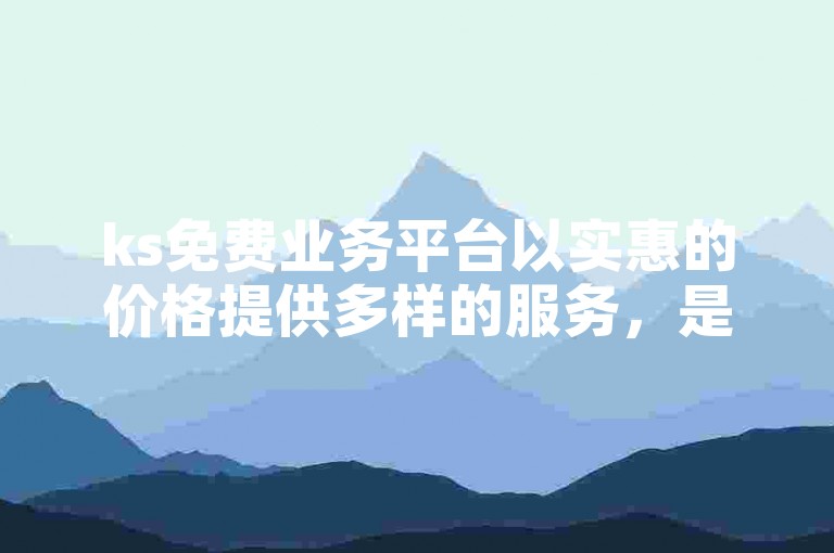 ks免费业务平台以实惠的价格提供多样的服务，是追求性价比的理想之选。