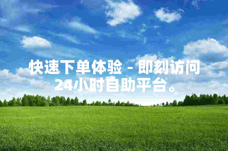 快速下单体验 - 即刻访问24小时自助平台。