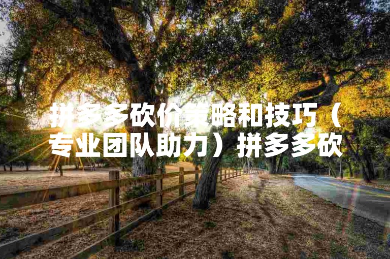 拼多多砍价策略和技巧（专业团队助力）拼多多砍价平台