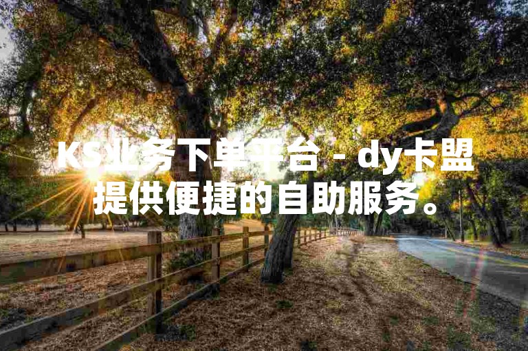 KS业务下单平台 - dy卡盟提供便捷的自助服务。