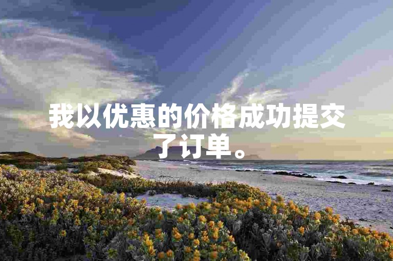 我以优惠的价格成功提交了订单。
