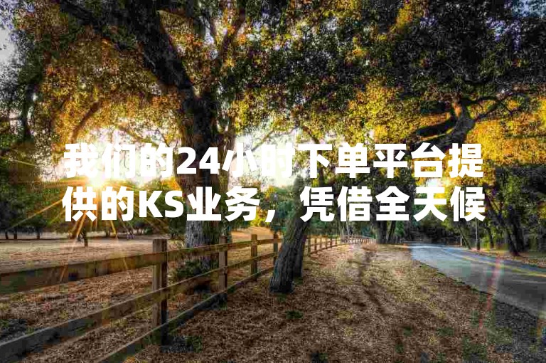 我们的24小时下单平台提供的KS业务，凭借全天候不间断的在线服务，确保您随时可以下单，无需等待。