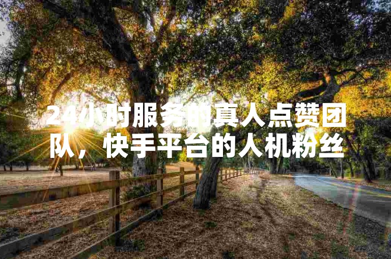 24小时服务的真人点赞团队，快手平台的人机粉丝服务有哪些选择？