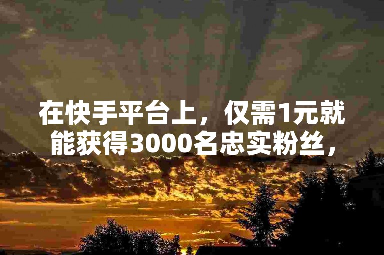 在快手平台上，仅需1元就能获得3000名忠实粉丝，且这些粉丝数量稳定不流失。