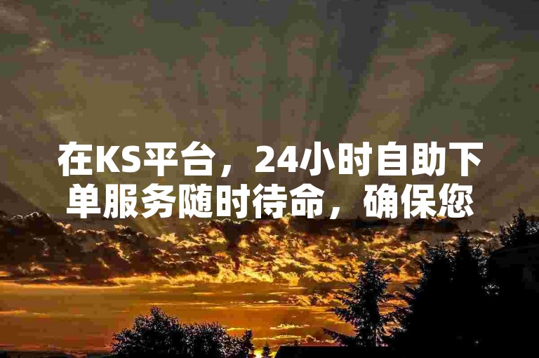 在KS平台，24小时自助下单服务随时待命，确保您的需求得到即时响应。