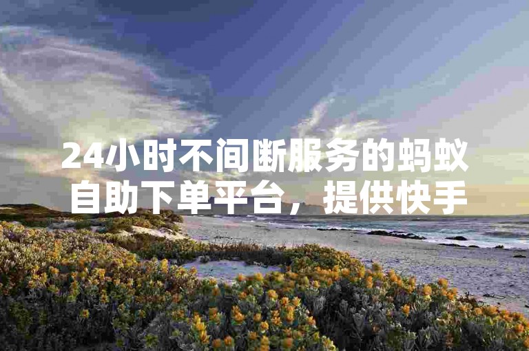 24小时不间断服务的蚂蚁自助下单平台，提供快手等社交平台的便捷低价服务。