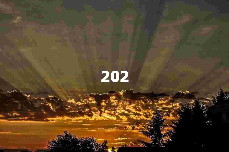 2025年，拼多多的砍价活动将更加火热，互帮互助的大家庭氛围愈发浓厚。