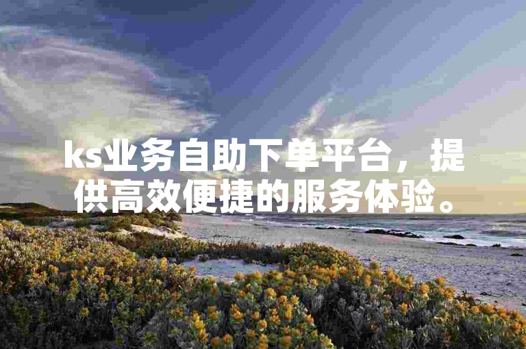 ks业务自助下单平台，提供高效便捷的服务体验。