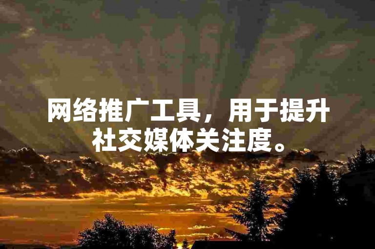 网络推广工具，用于提升社交媒体关注度。