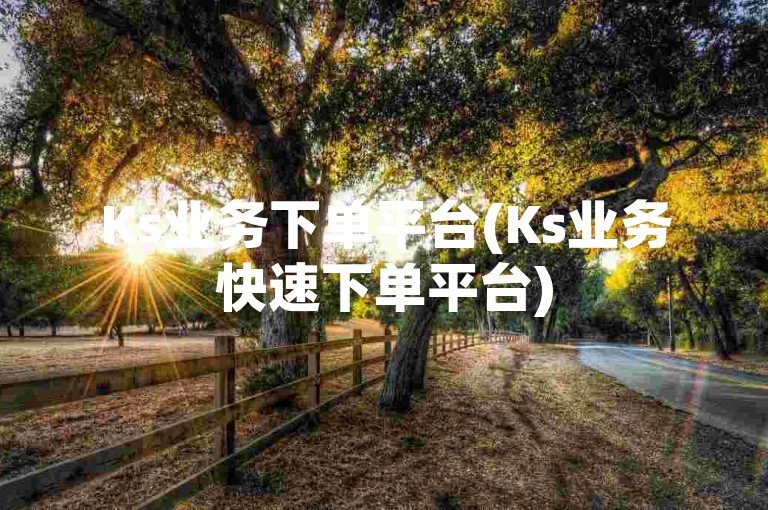 Ks业务下单平台(Ks业务快速下单平台)