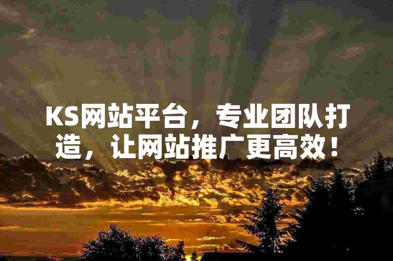 KS网站平台，专业团队打造，让网站推广更高效！