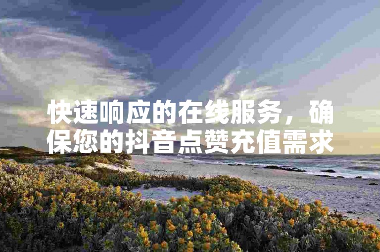 快速响应的在线服务，确保您的抖音点赞充值需求在24小时内得到满足。