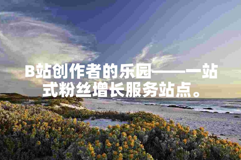 B站创作者的乐园——一站式粉丝增长服务站点。