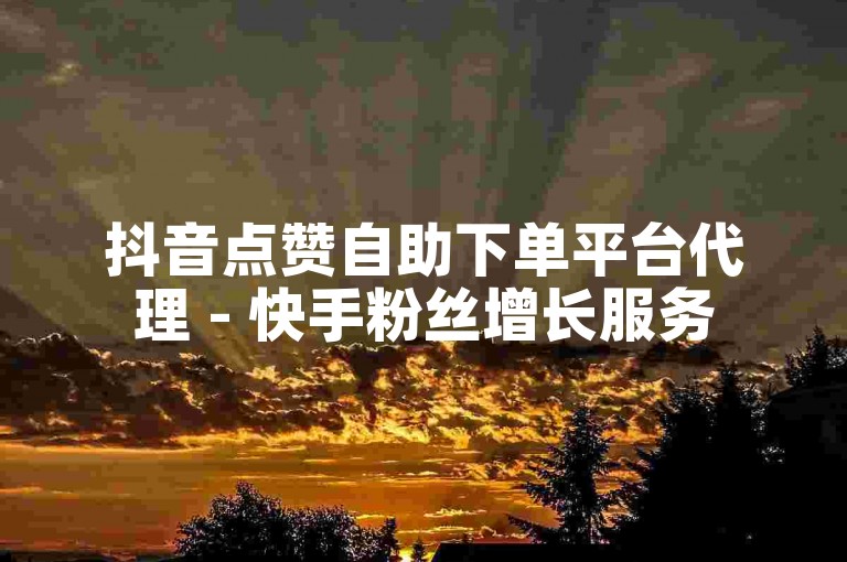 抖音点赞自助下单平台代理 - 快手粉丝增长服务