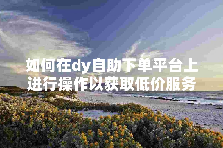 如何在dy自助下单平台上进行操作以获取低价服务？